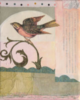 Bird Watching 2