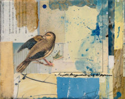 Bird Watching 4
