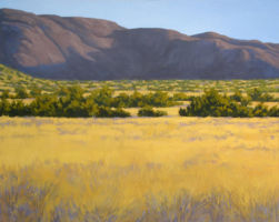 Bear Canyon Light