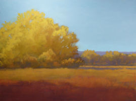 Cottonwood, Bosque del Apache