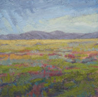 Field at Mid-day