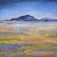 Field in Magical Light