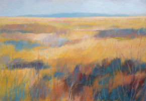 Fields of Color
