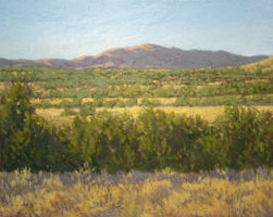 Foothills Patterns