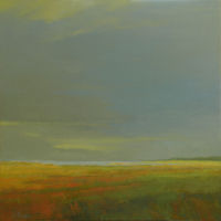 Grey Sky Over Marsh