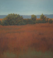 Junipers and Rusty Field