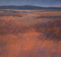 New Mexico Red