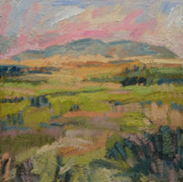 Spring Landscape