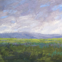 Summer Clouds