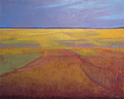 Summer Fields