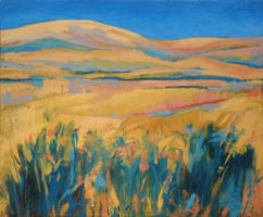Summer Impressions
