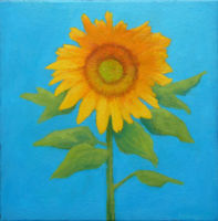 Sunflower 1