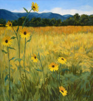 Sunflowers and Field