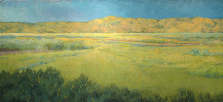The Long View