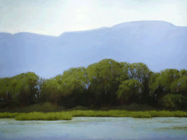 Trees Along the River