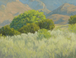 Up in the Foothills