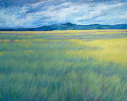 Wind in the Grasses